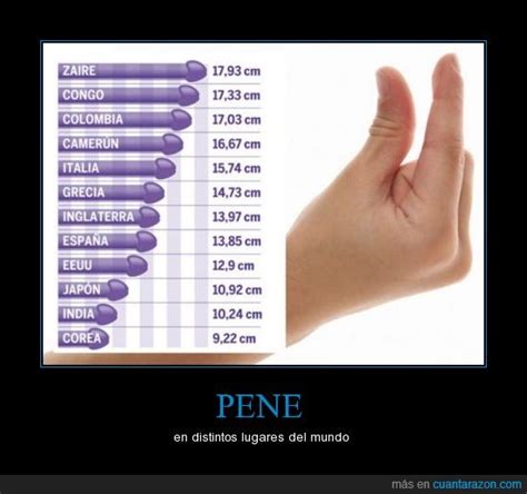 pene 13 cm